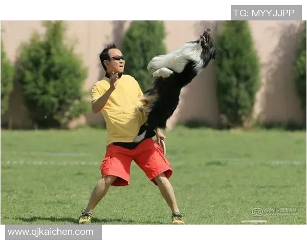 北京飞盘队在极限运动世界杯中的精彩节奏与表现分析