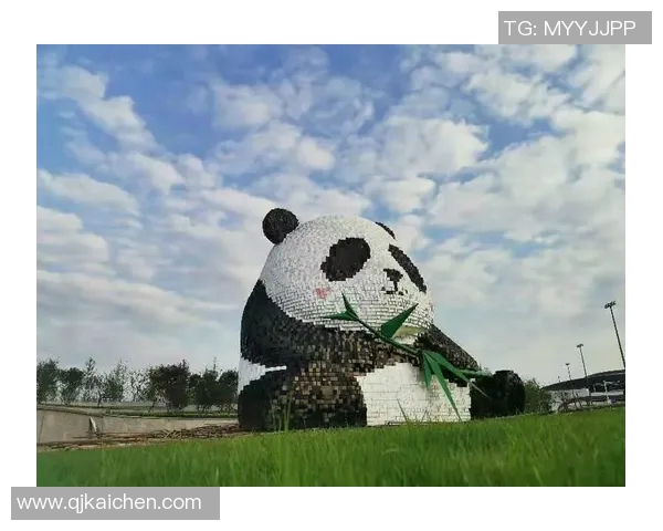 成都羽毛球队的盯防策略揭秘与深度分析探讨