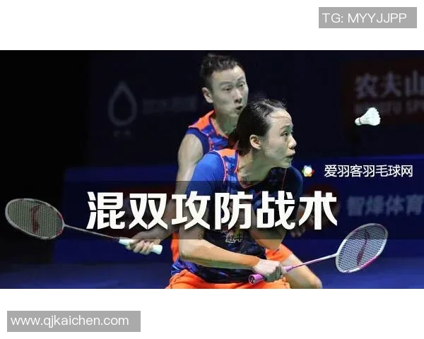 武汉羽毛球队配合表现的数据分析与战术探讨 武汉羽毛球队配合表现的数据分析与战术探讨