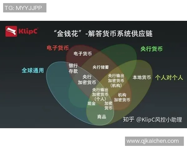 武汉篮球队运营全景解析：深度探讨球队管理与发展策略