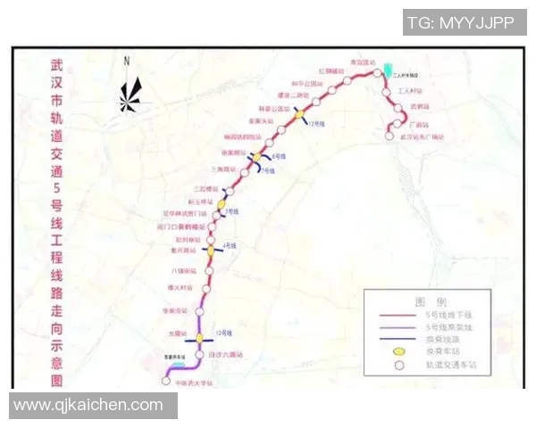 武汉网球队战术解析与未来发展策略探讨