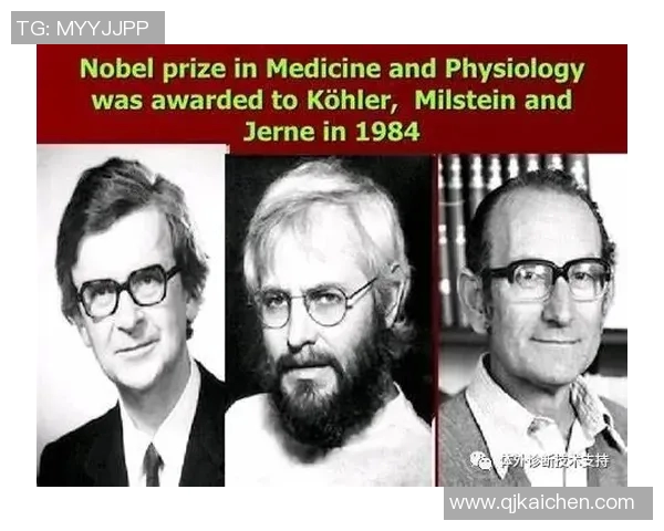 拉波尔特的崛起与影响力探讨:从历史到现代的全景分析